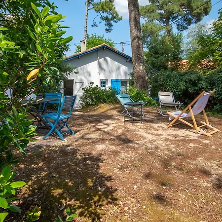 L'herbaudiere - Les Pins