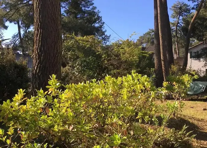L'herbaudiere - Les Pins La Baule-Escoublac