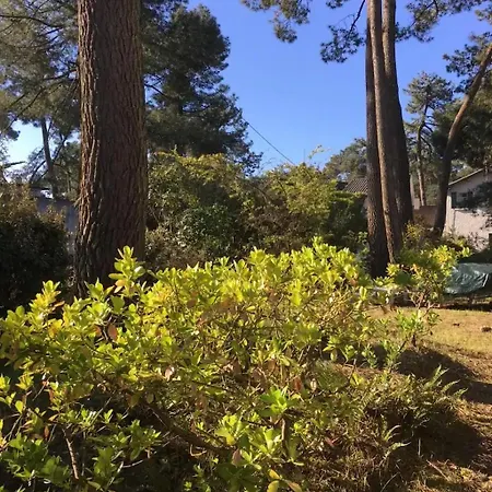 L'herbaudiere - Les Pins La Baule