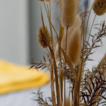 L'herbaudiere - Les Pins בית נופש La Baule