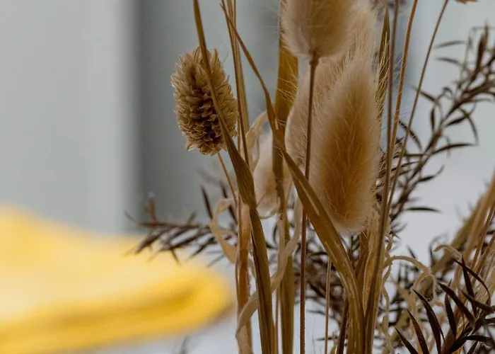 L'herbaudiere - Les Pins Holiday home La Baule-Escoublac